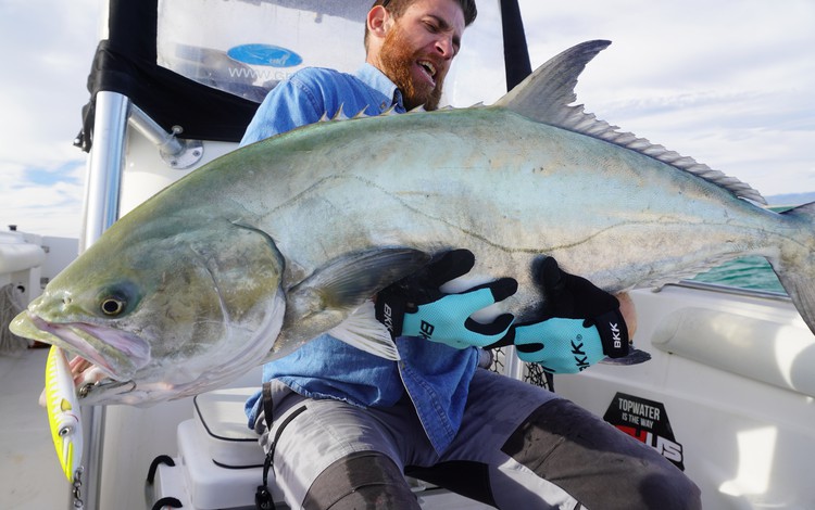 valencia ampolla fangerfolge 0013