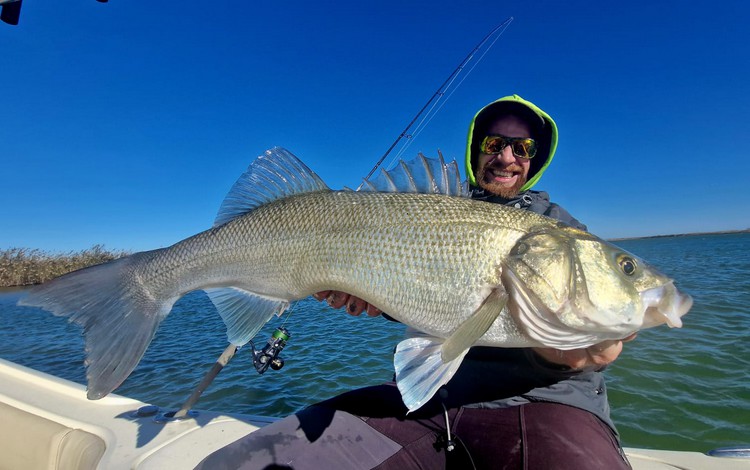 valencia ampolla fangerfolge 0024