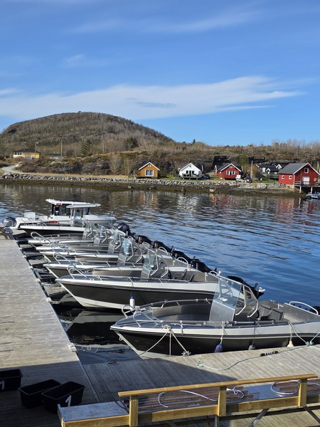 Ankeret Brygge Boote Ankeret Brygge Boote