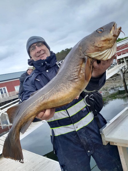 Ankeret Brygge Fangerfolge 