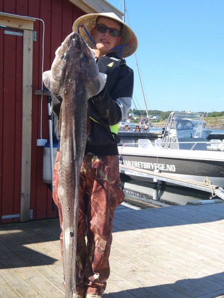 Ankeret Brygge Fangerfolge 