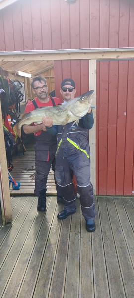 Ankeret Brygge Fangerfolge 