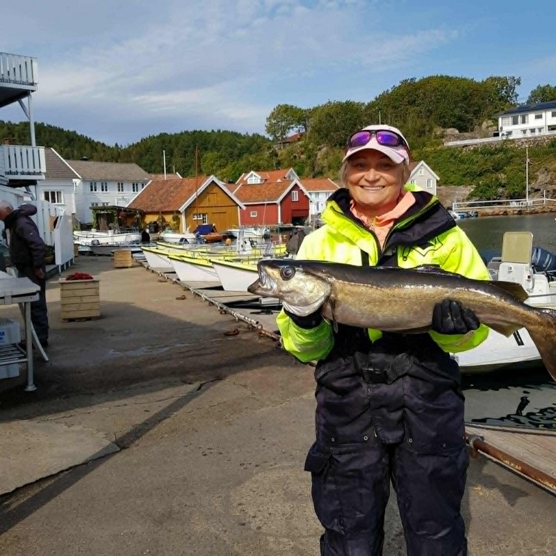Aavik Brygge Fangerfolg   