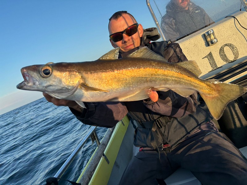 avik brygge fangerfolge 0006