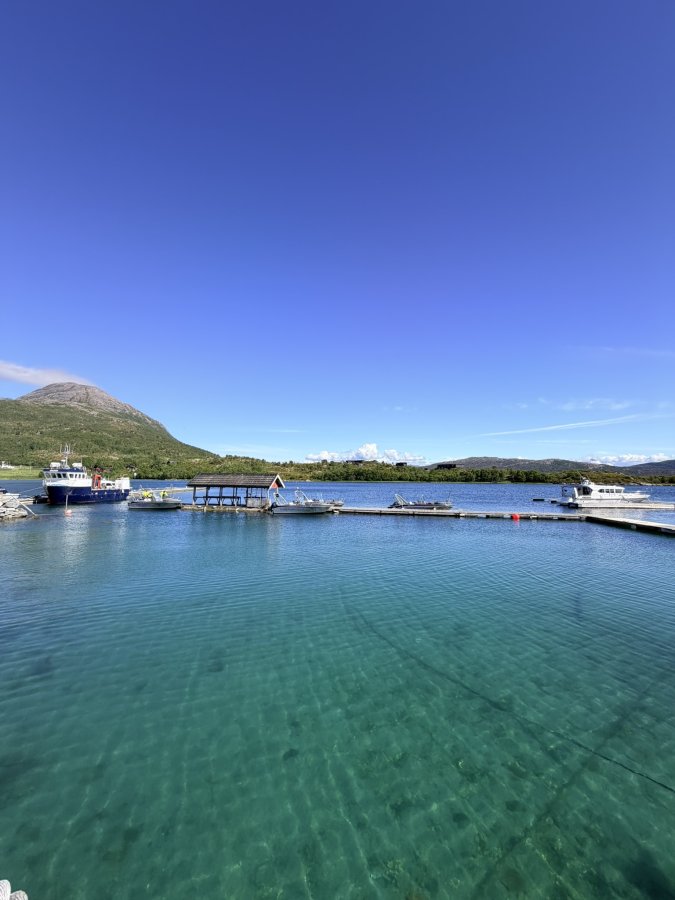 Frovaag Havfiske Boote  