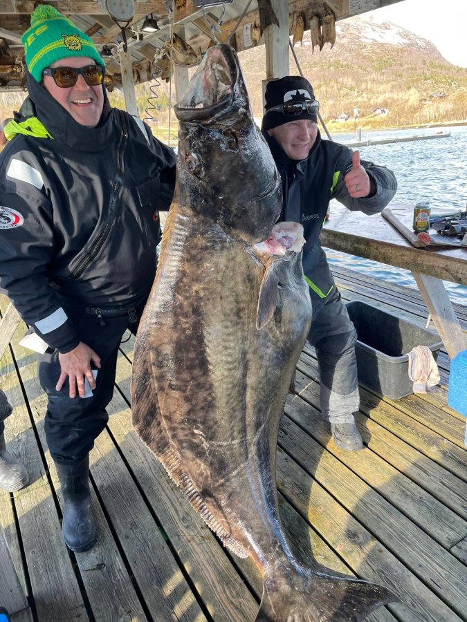 Frovaag Havfiske Fangerfolge  