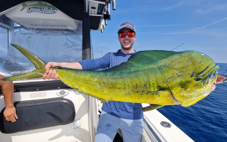 greenflake valencia 0006