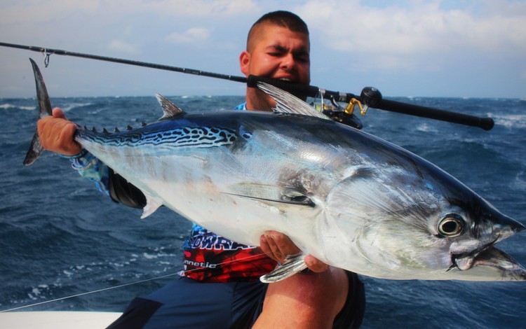 greenflake valencia 0009