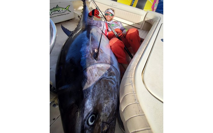 greenflake valencia 0010