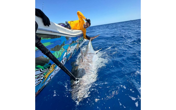 greenflake valencia 0014