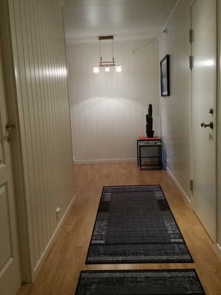 Hansnes Havfiske Apartment  