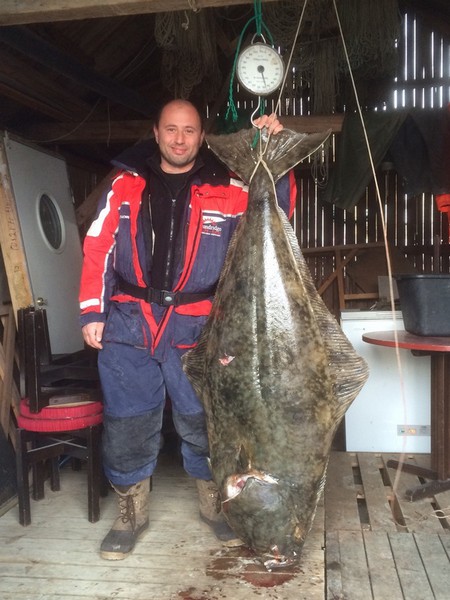 Hansnes Havfiske Fangerfolge 