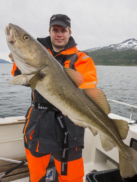 Hansnes Havfiske Fangerfolge 