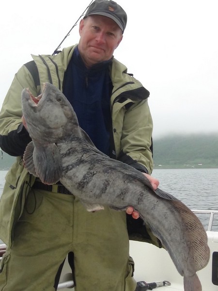 Hansnes Havfiske Fangerfolge 