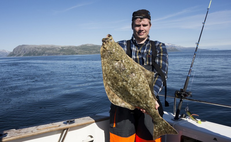 Hansnes Havfiske Fangerfolge 