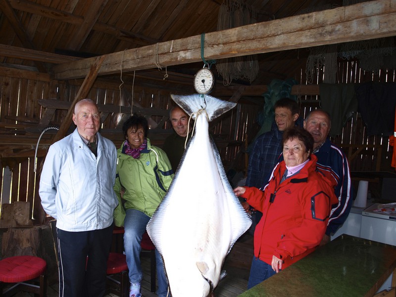 Hansnes Havfiske Fangerfolge 