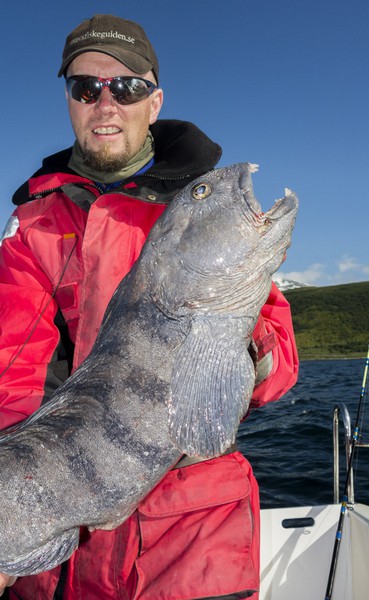 Hansnes Havfiske Fangerfolge 