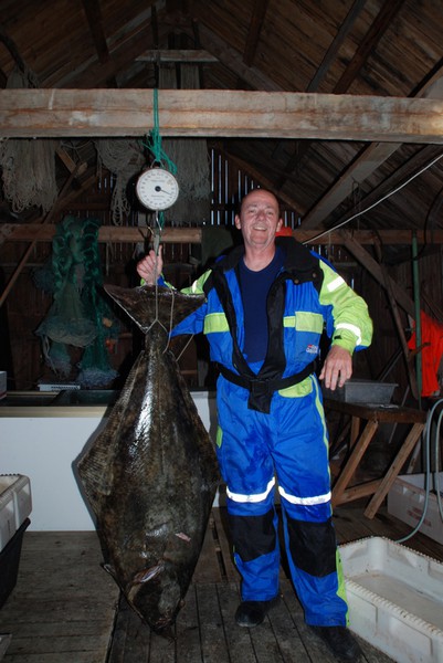 Hansnes Havfiske Fangerfolge 