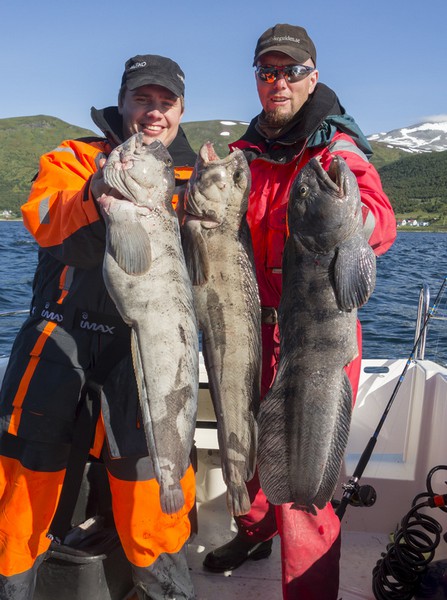 Hansnes Havfiske Fangerfolge 