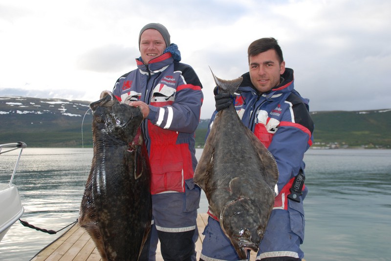 Hansnes Havfiske Fangerfolge 