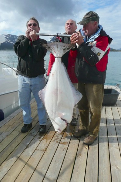 Hansnes Havfiske Fangerfolge 