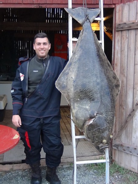 Hansnes Havfiske Fangerfolge 