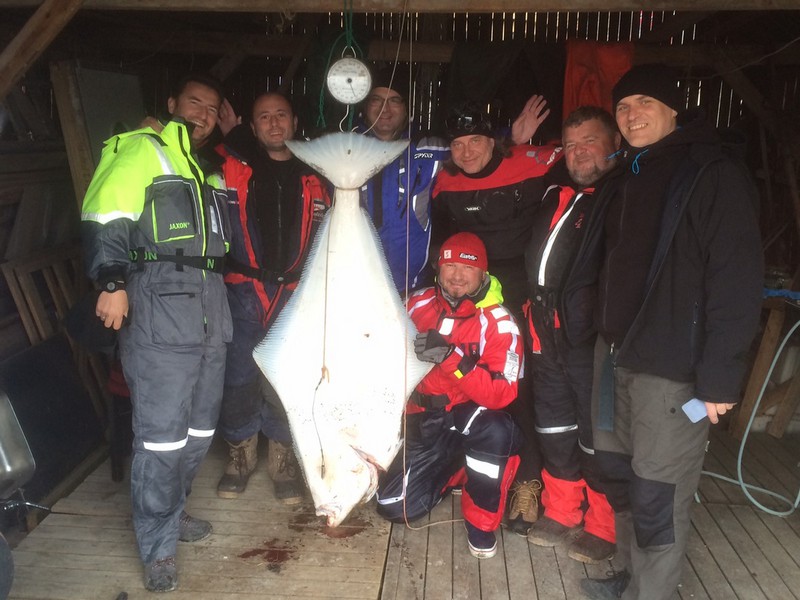 Hansnes Havfiske Fangerfolge 