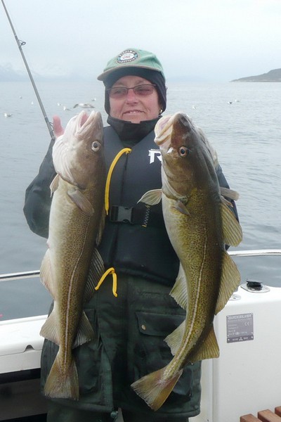 Hansnes Havfiske Fangerfolge 