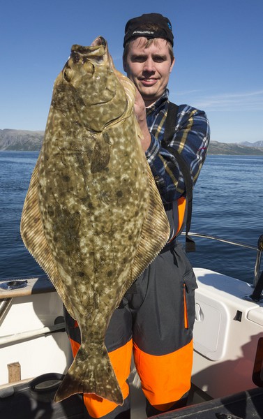 Hansnes Havfiske Fangerfolge 