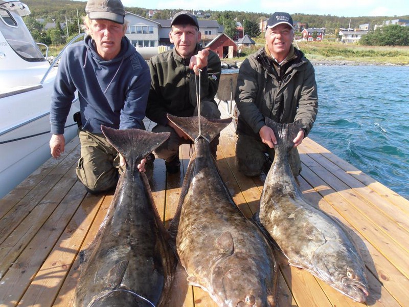 Hansnes Havfiske Fangerfolge 