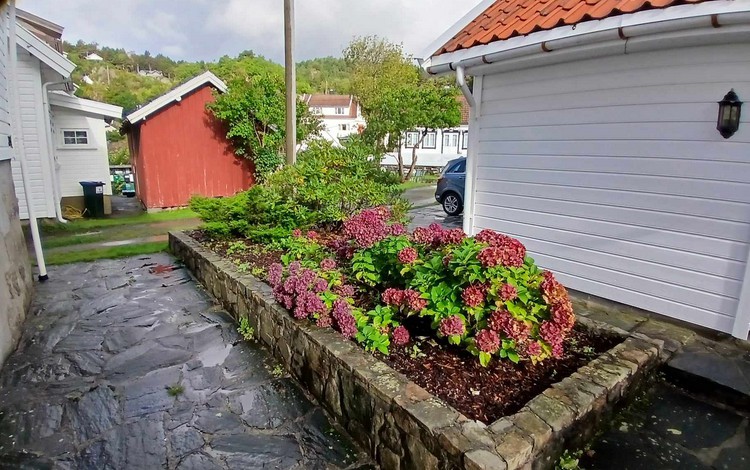 Haus Aviksblikk Unterkunft Haus Aviksblikk Unterkunft