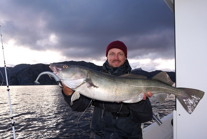  Lofoten Havfiske Fangerfolge  