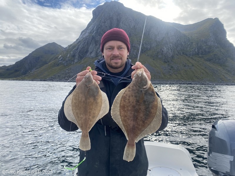  Lofoten Havfiske Fangerfolge  