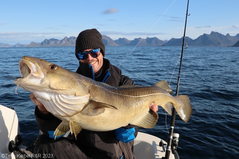  Lofoten Havfiske Fangerfolge  