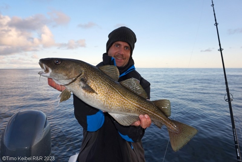  Lofoten Havfiske Fangerfolge  