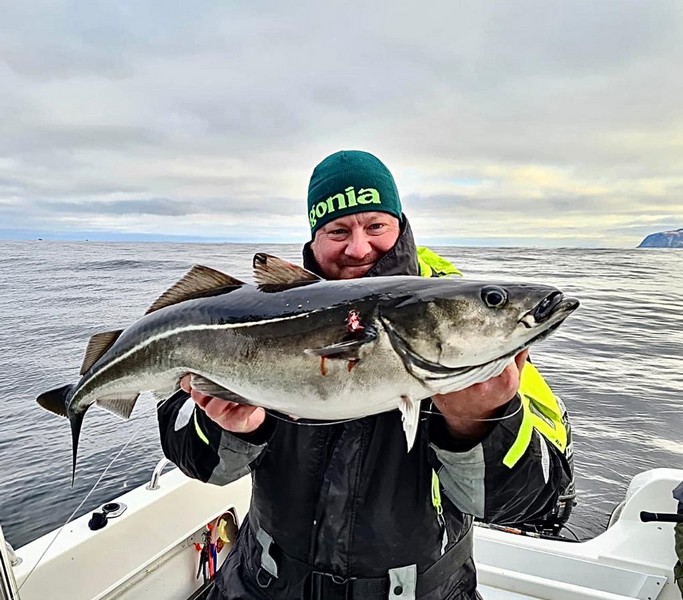  Lofoten Havfiske Fangerfolg 