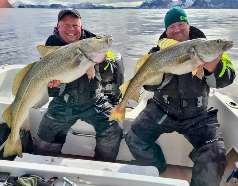  Lofoten Havfiske Fangerfolg 