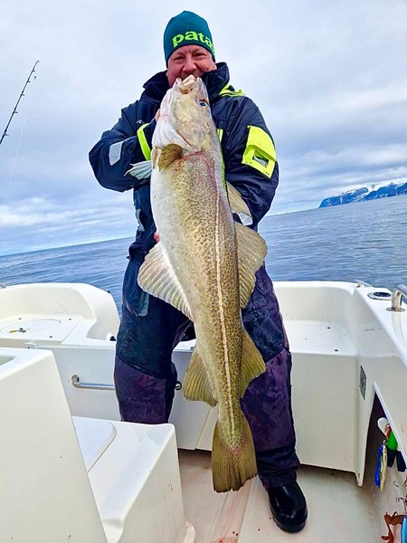  Lofoten Havfiske Fangerfolg 