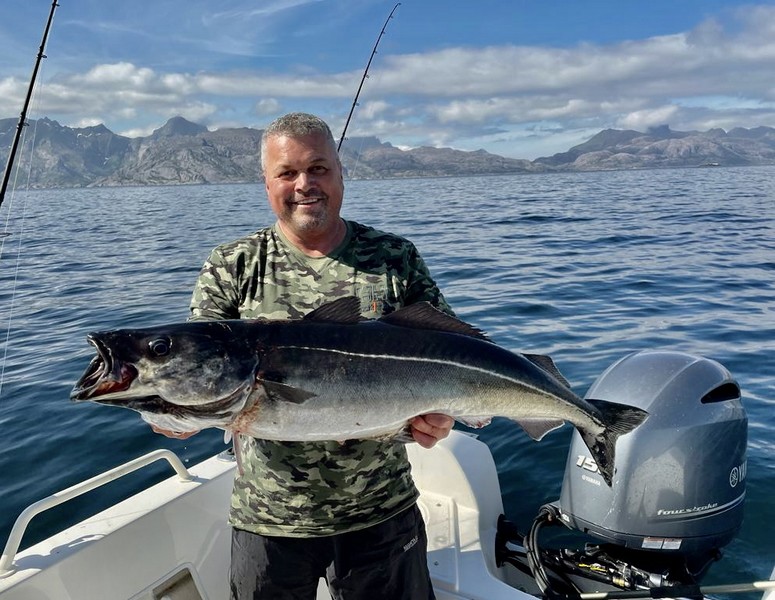  Lofoten Havfiske Fangerfolg 