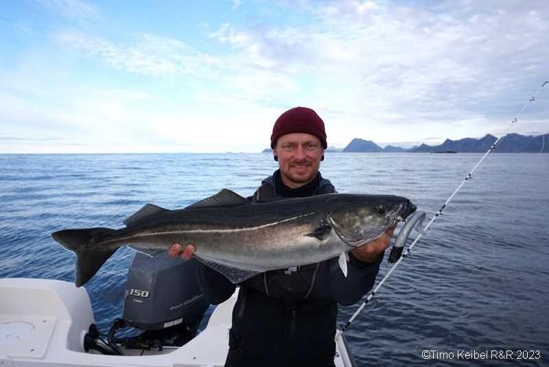  Lofoten Havfiske Fangerfolge  