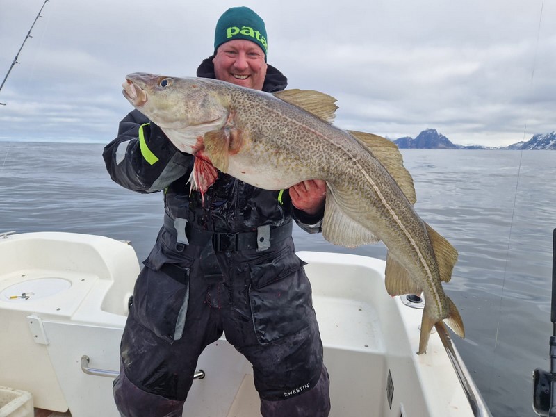  Lofoten Havfiske Fangerfolg 