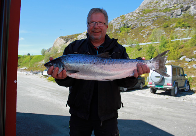 Lofotenhavfiske Fangerfolge