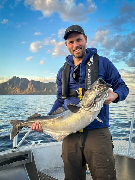 Lofoten Havfiske Fangerfolg 