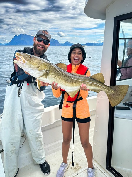 Lofoten Havfiske Fangerfolg 