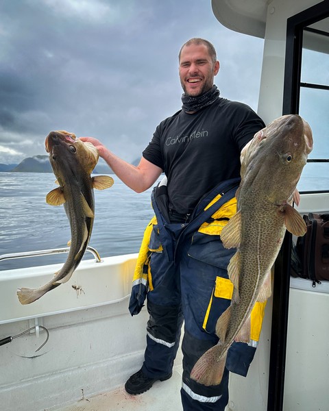 Lofoten Havfiske Fangerfolg 