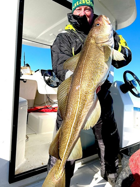 Lofoten Havfiske Fangerfolg 