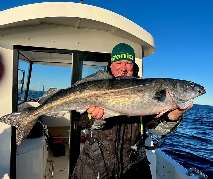 Lofoten Havfiske Fangerfolg 