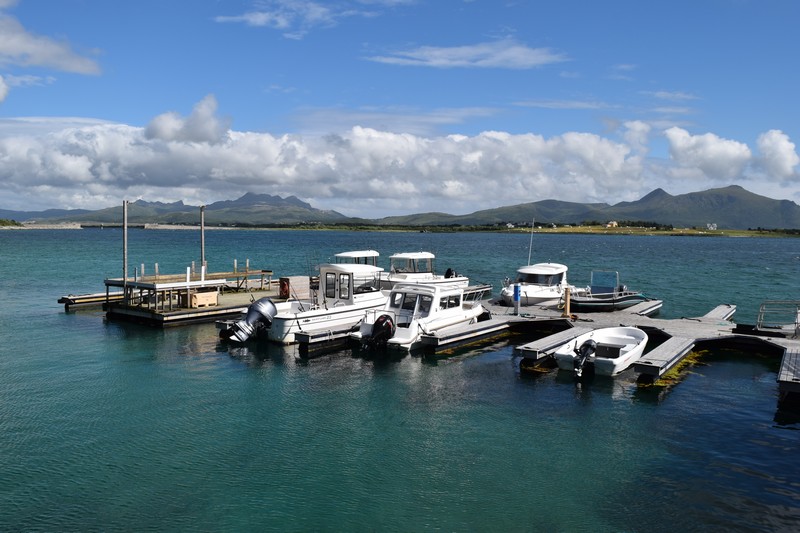 Lofoten Haviske Smartliner 