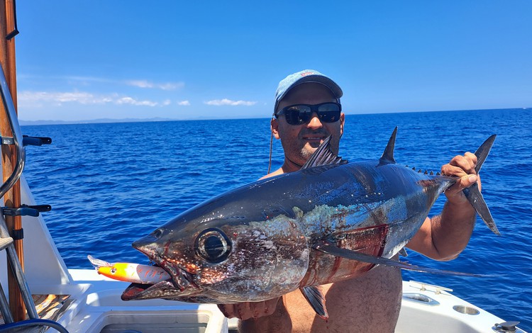 Mallorca Portocolom Fangerfolge Mallorca Portocolom Fangerfolge