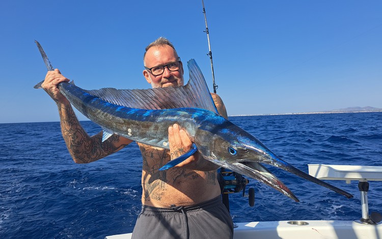 Mallorca Portocolom Fangerfolge Mallorca Portocolom Fangerfolge